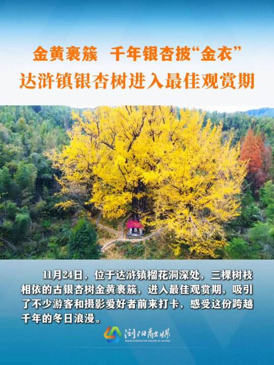 �g���S����ǧ���y���������_(d��)�G�(zh��n)�y�Ә��M(j��n)������^�p��